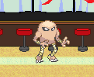 Hitmonlee's old design in Hidden Leaf Village.