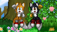 ShadowTails.png (32 KB) Two Tails taunting on Dream Land.