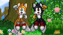 Tails (SSF2) - Super Smash Flash Wiki