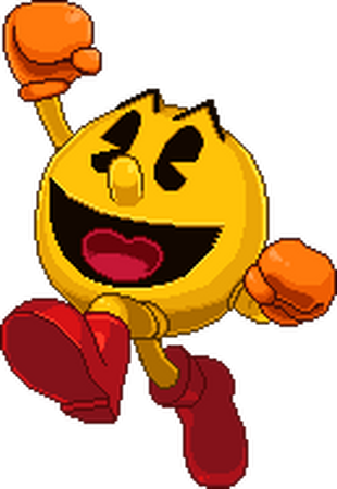 Flash pacman shop