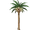 Alolan Exeggutor