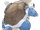 Blastoise
