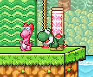Yoshi taunting next to Birdo on Mushroom Kingdom II.