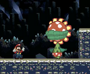 Mario fighting Petey Piranha.