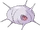 Cascoon