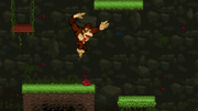 Donkey Kong Jungle