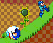 Sonic using Spin Dash as Mega Man runs on Green Hill Zone.