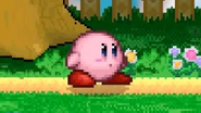 New Design Kirby