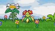 Bellossom.