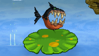 A piranha, as it appears on  in .