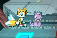 Gligar being released by Tails, on Meteo Campaign.