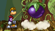 Rayman next to his Plum on Fairy Glade.