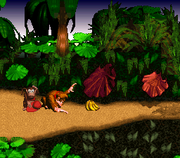 DKC Hand Slap