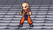 Krillin after being summoned on World Tournament.