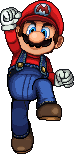 Mario Main New