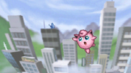 Jigglypuff seeing Butterfree.