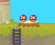 The left one is a Super Mushroom. The right one is a Poison Mushroom.