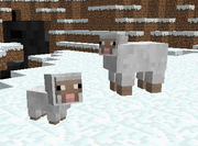 Breeding.png