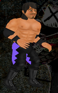 Essa Carrera in Wrestling Revolution2D