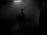 ST Entity Chamber