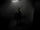 ST Entity Chamber