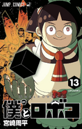 Volume 13 cover