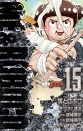Volume 15 cover