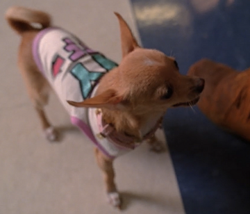 Coco Chanel Mean Girls Wiki Fandom