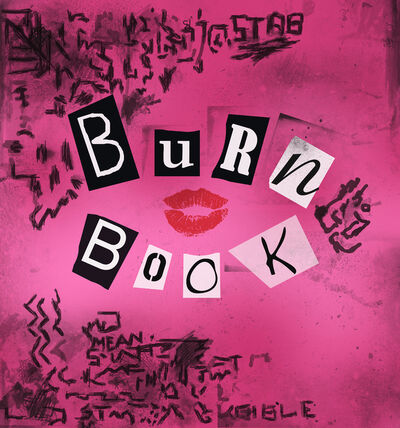 Burn Book - Mean Girls Leather Journal | Pink