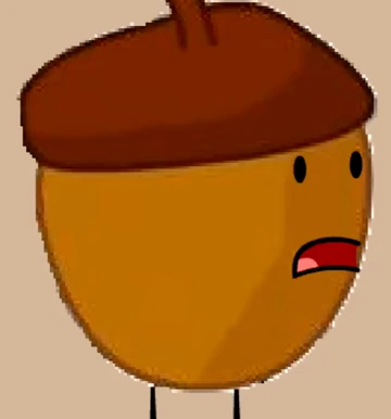 acorn様分です Bush Table Queen Acorn Squash - Thresh Seed Co.