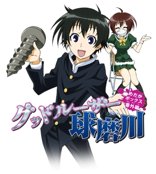 medaka ⚠️プロフ必読 8/3 Amazon | ニッソー 金魚・メダカ酸素ぷくぷく8錠 8個 (x 1