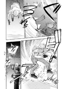 CH22 Backflip