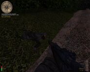 Wilson's corpse.