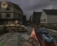 M1 Garand in Medal of Honor: Allied Assault.