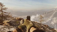 Iron sights.