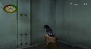 Suppressed Walther PPK in Medal of Honor.