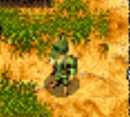 Afrika Korps rifleman