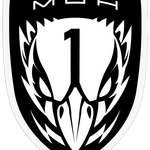 Task Force Mako | Medal of Honor Wiki | Fandom