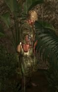 NCO