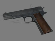 Model.