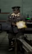 Luftwaffe officer