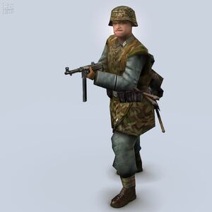 Waffen S S Medal Of Honor Wiki Fandom