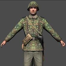 Waffen S S Medal Of Honor Wiki Fandom