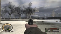 Iron Sights.