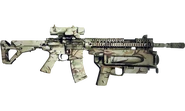 SAS DD M4V1