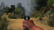 Iron sights.