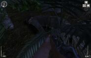 Doyle's corpse.