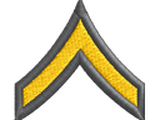 Medal of Honor: Warfighter Ranks