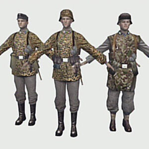 Waffen S S Medal Of Honor Wiki Fandom