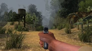 Iron sights.